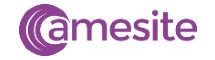 amesite logo