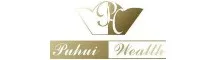puhui logo