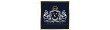 VCI global limited logo